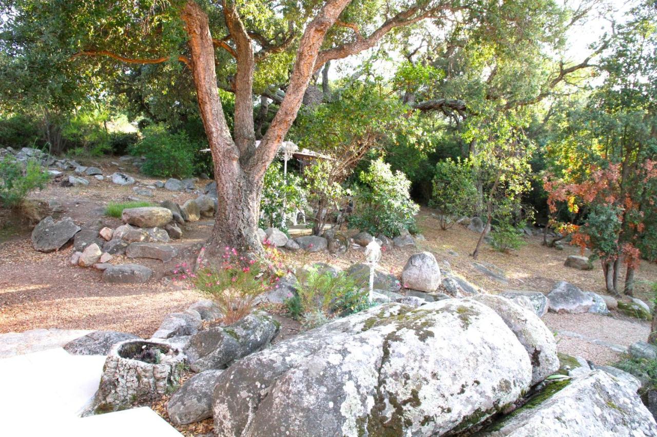 Residence Les Jardins de Sainte-Lucie Piscine chauffée Esterno foto